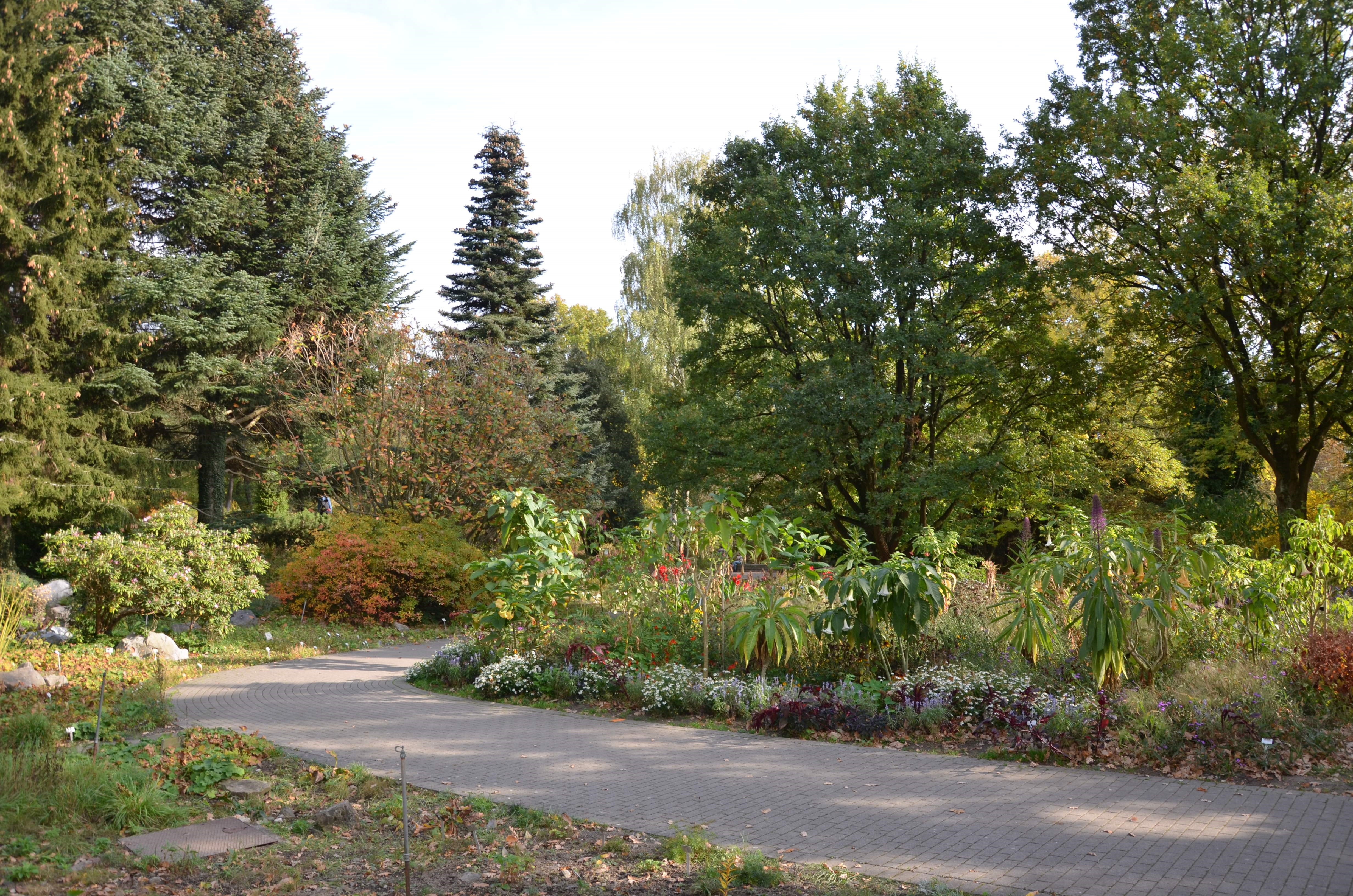 Botanischer Garten der Ruhr-Universität Bochum