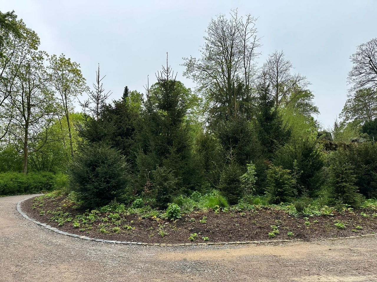 Neubepflanzung 2024, rechts die Kaskade