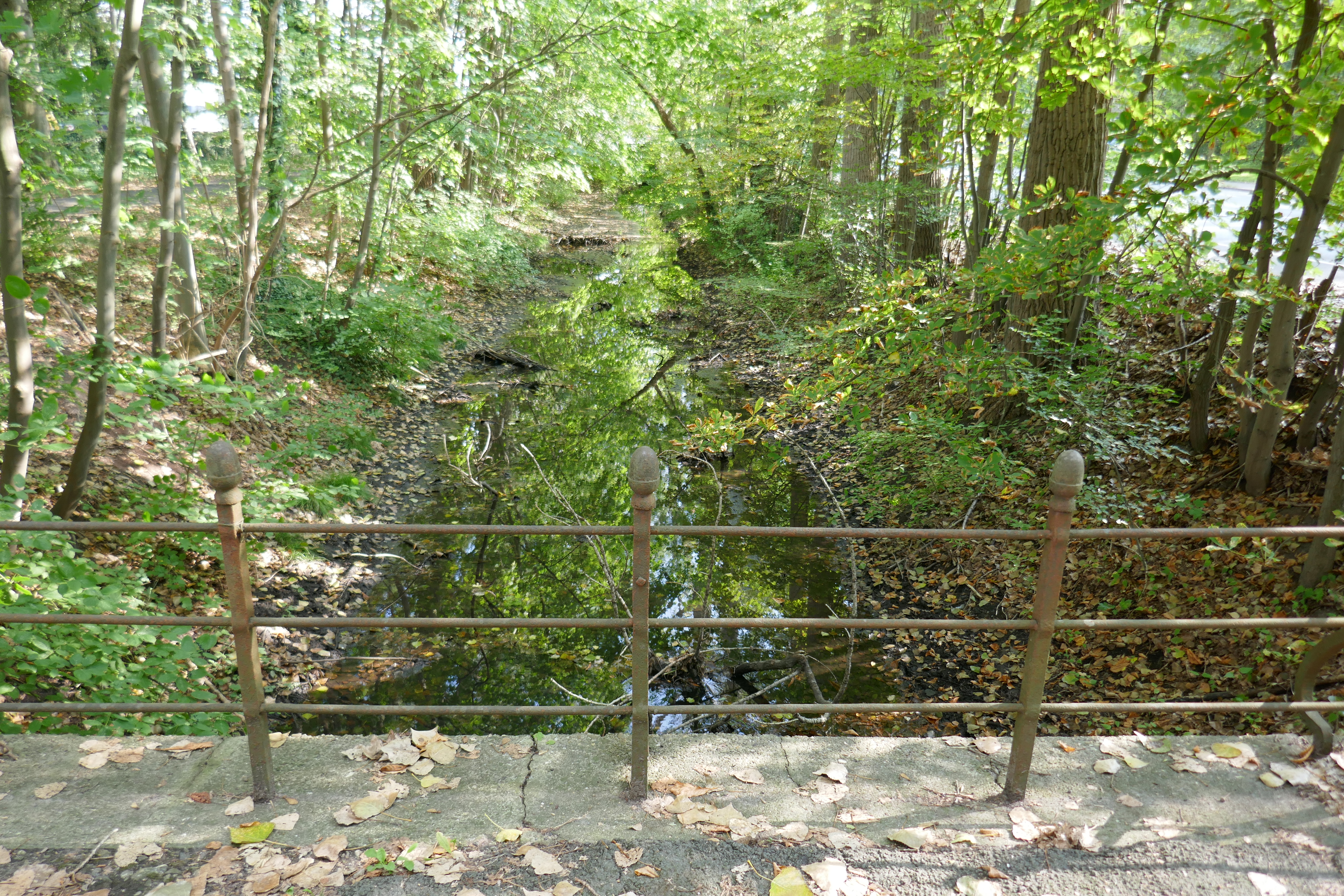 Blick von Brücke auf den ehemaligen Max-Clemens-Kanal Blick von Brücke auf den ehemaligen Max-Clemens-Kanal
