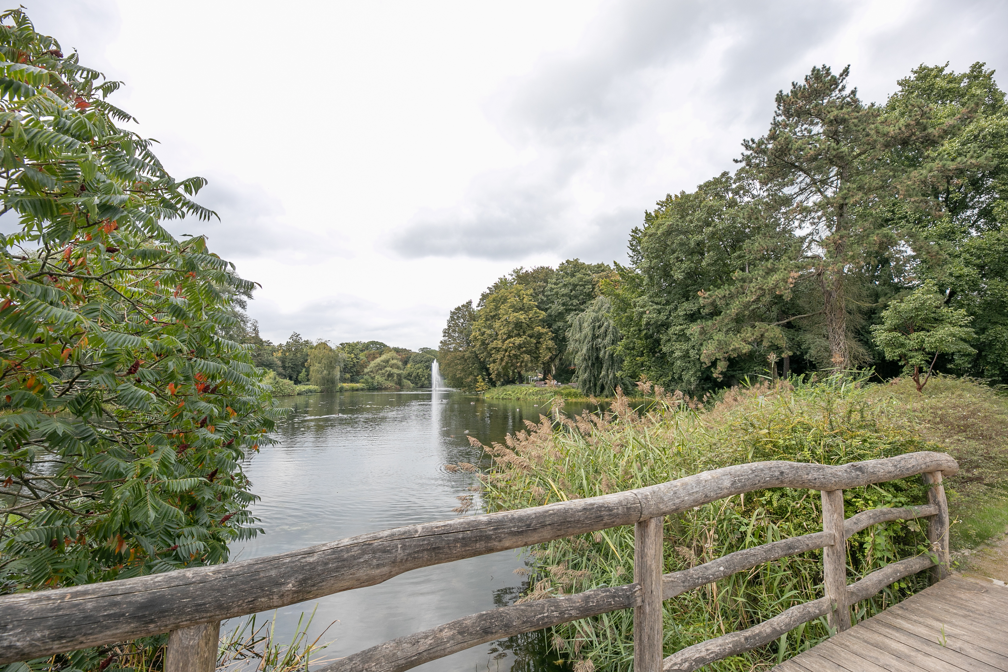 Brücke über den See