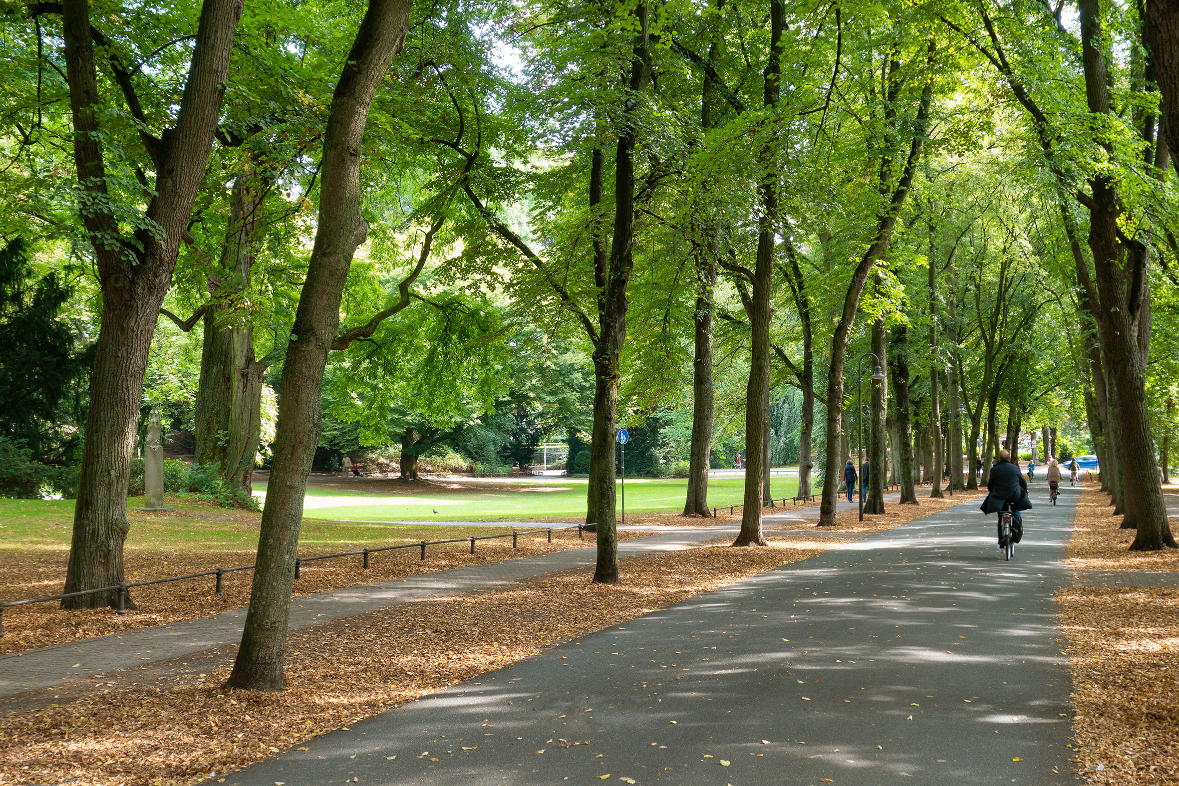 Promenade in Münster Promenade in Münster