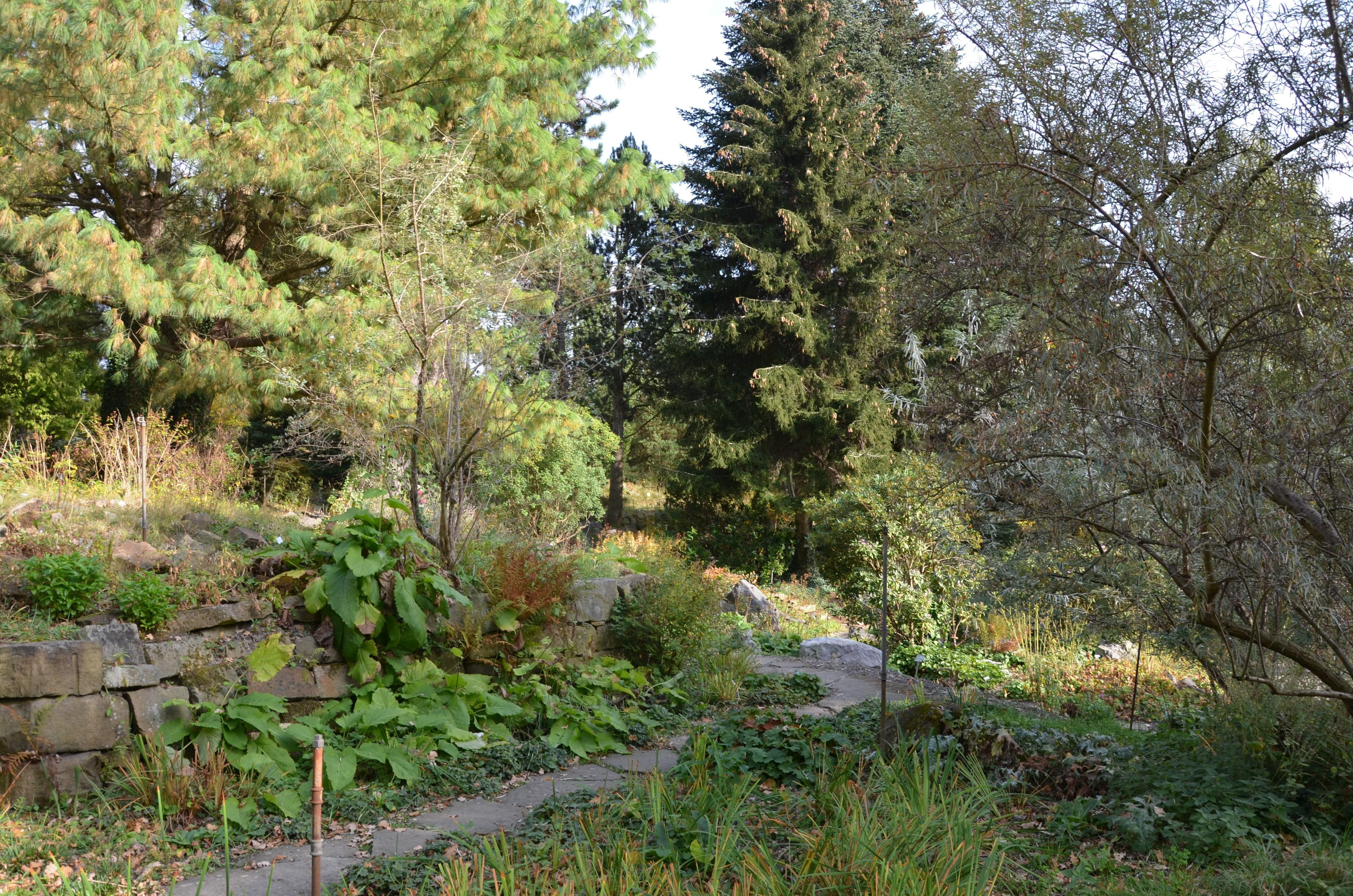 Verwunschene Pfade führen zu den differenziert gestalteten und bepflanzten Vegetationsbereichen.