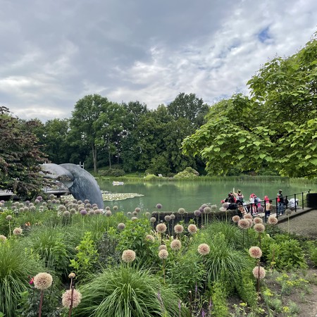 Der See