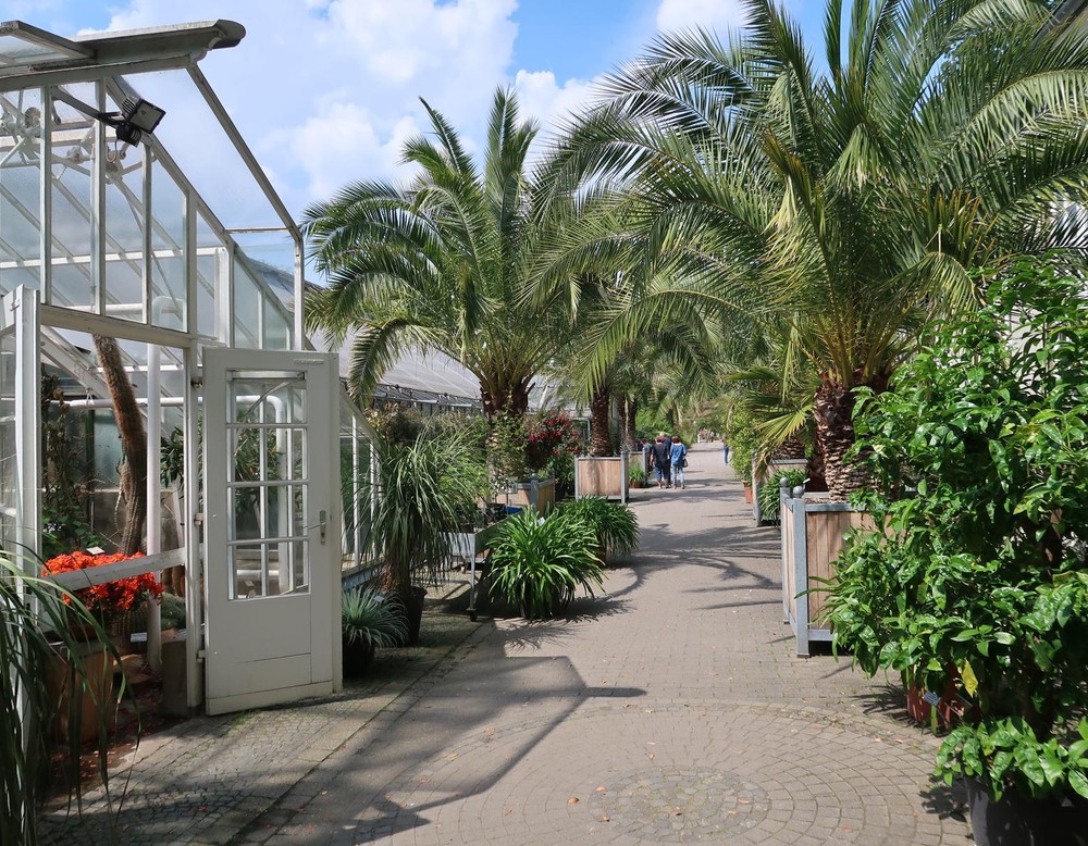 Botanischer Garten in Münster