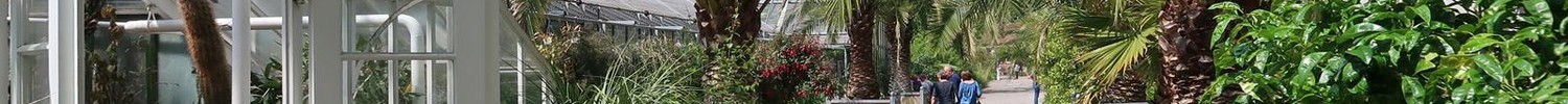 Botanischer Garten Münster