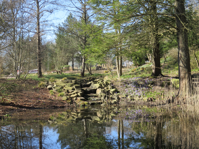 Bachlauf und Teich bilden einen vielfältigen, naturnahen Lebensraum