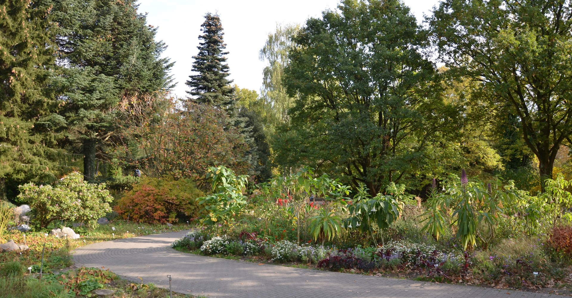Botanischer Garten der Ruhr-Universität Bochum