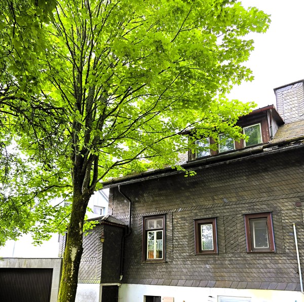 Rückseite