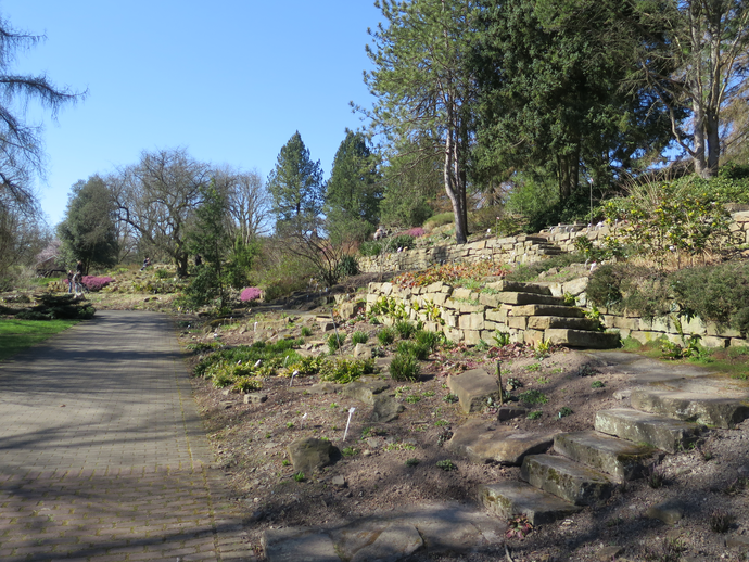 Natursteinmauern und Treppenwege durchziehen die Vegetationsbereiche (vergrößerte Bildansicht wird geöffnet)