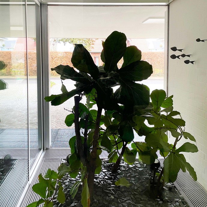 Wiederhergerichtetes Atrium (vergrößerte Bildansicht wird geöffnet)