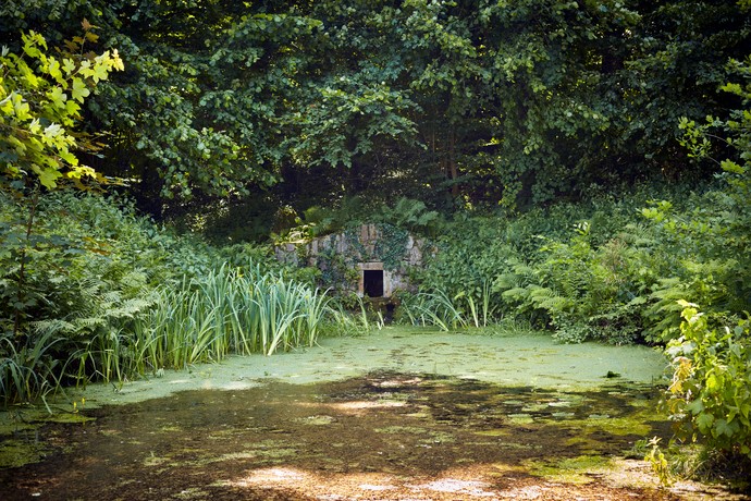 Butterborn Schlosspark Schieder