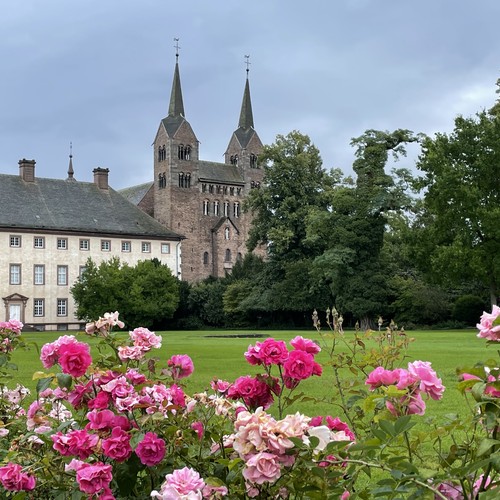 Klosterkirche Corvey mit Rosen im Vordergrund