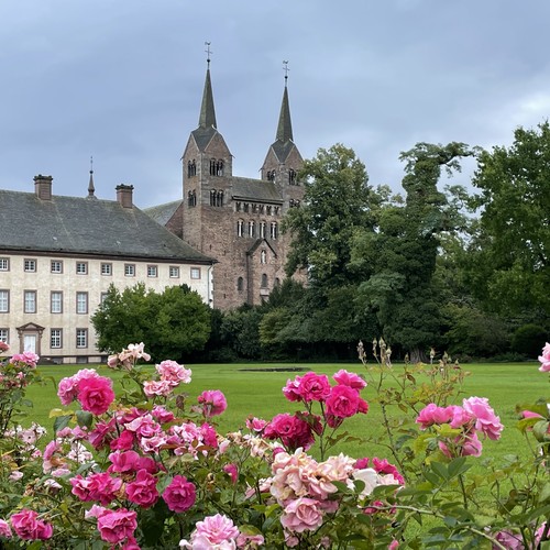 Klosterkirche Corvey mit Rosen im Vordergrund