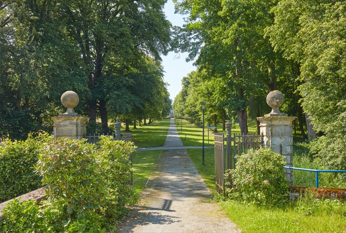 Lindenallee Schlosspark Schieder