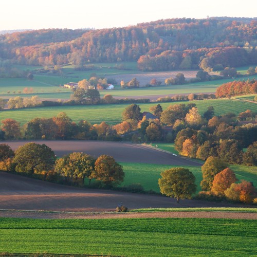 Heckenlandschaften