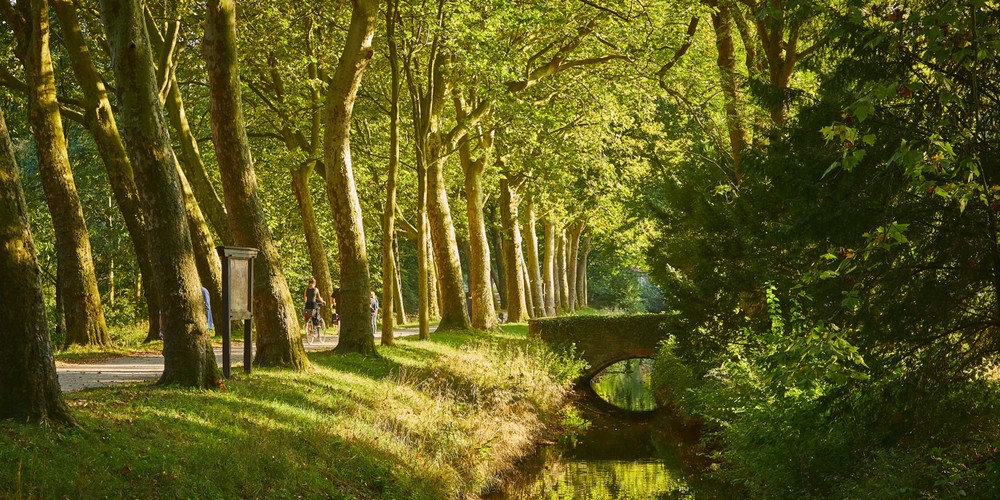 Allee im Schlosspark Senden