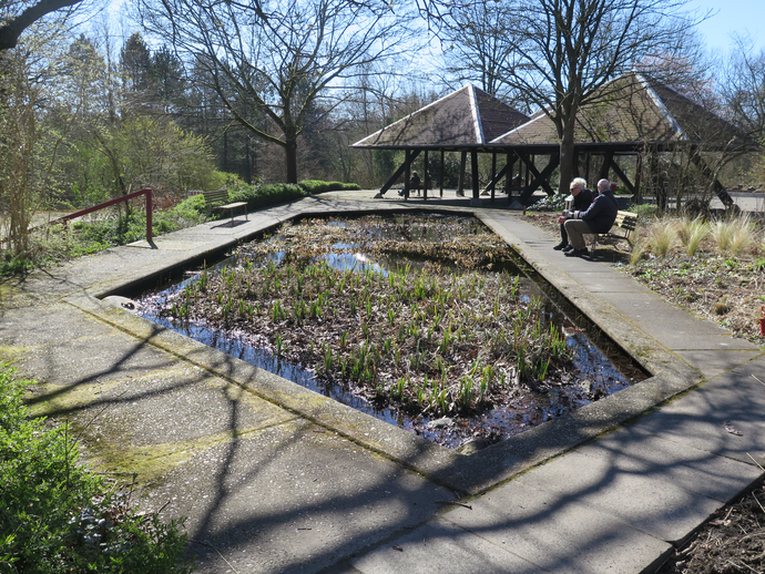 Randausbildung des Wasserbeckens (vergrößerte Bildansicht wird geöffnet)