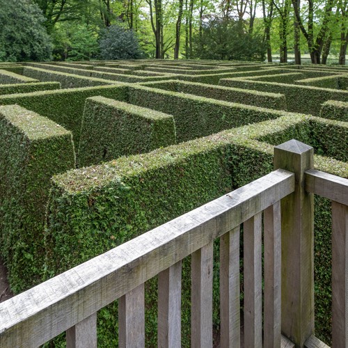 Hecken-Labyrinth auf Schloss Anholt