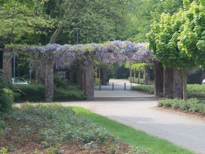 Pergola als Parkeingang, Aufenthaltsort und gestalterische Verbindung der beiden Parkteile an der Zeppelinallee (vergrößerte Bildansicht wird geöffnet)