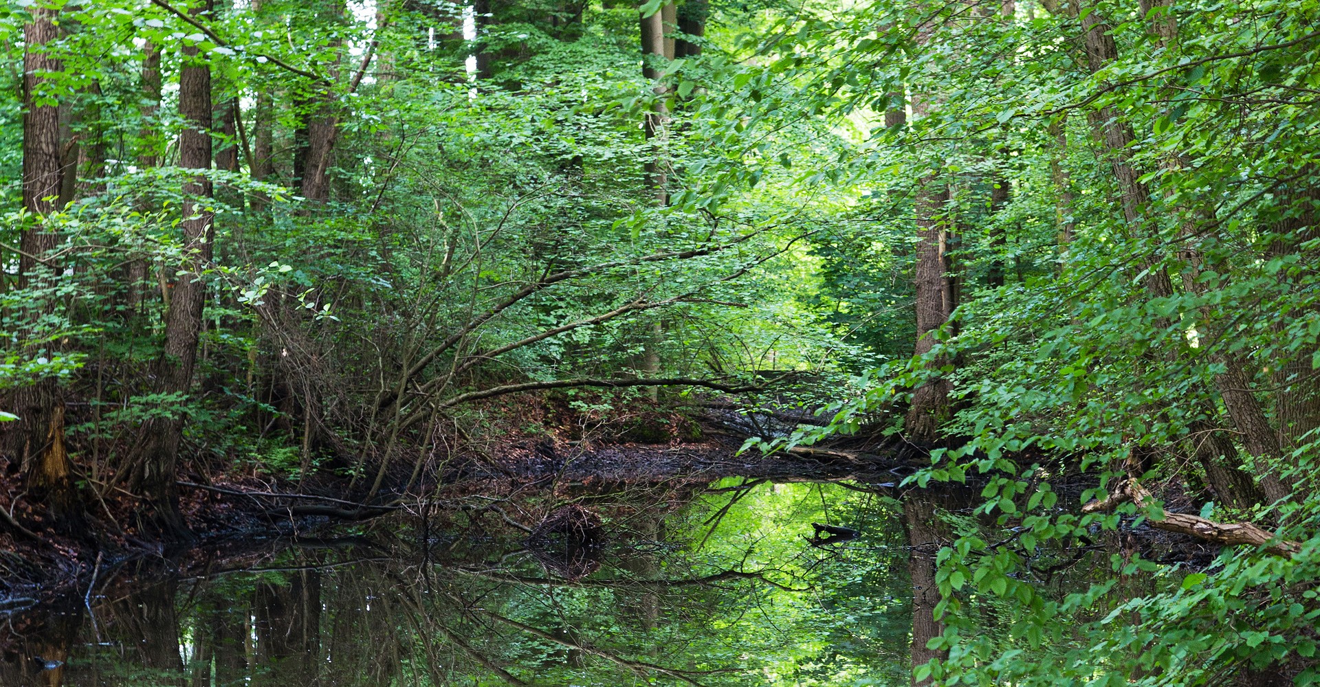 Max-Clemens-Kanal heute