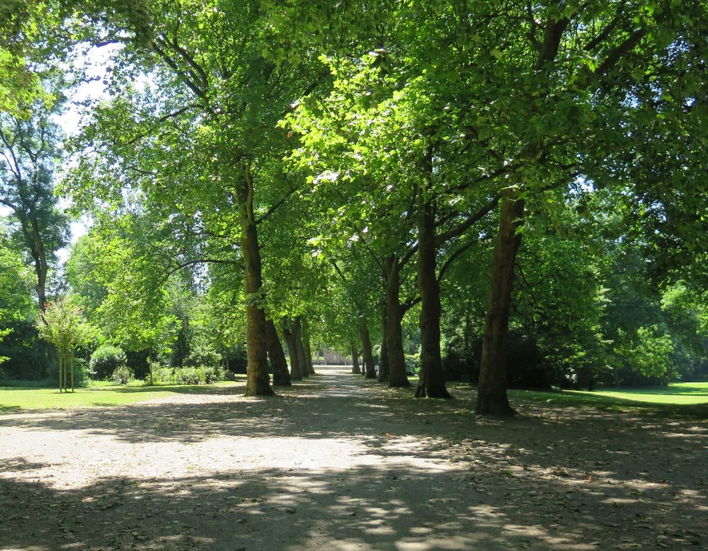 Der Stadtgarten Gelsenkirchen