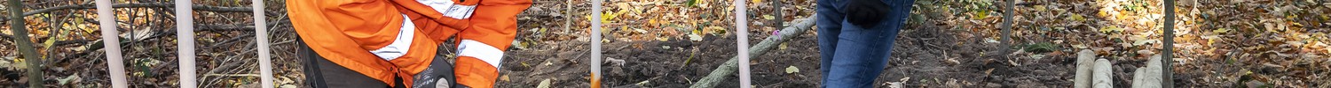 Helferin beim Parkpflegeseminar
