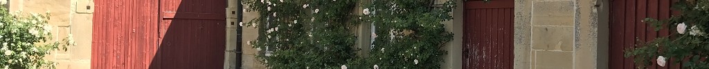 Altes Kieselpflaster und Kletterrosen setzen Akzente auf dem Hof
