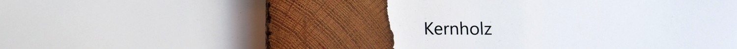 Holz von 1877 mit Markierungen