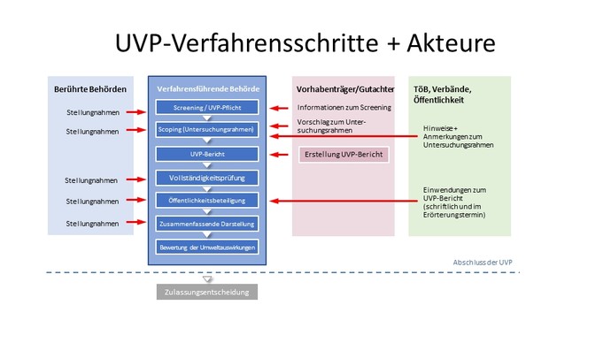 Verfahrensschritte und Akteure der UVP