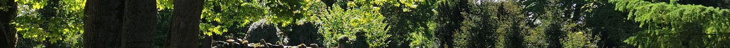 sommerliche Stimmung im Palaisgarten