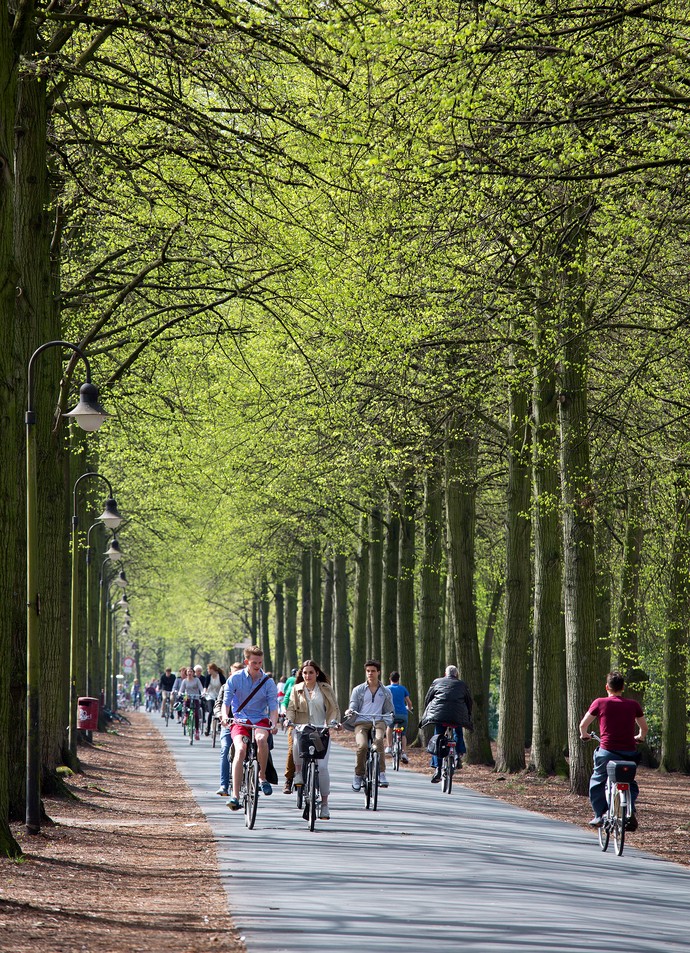 Promenade mit Rädern