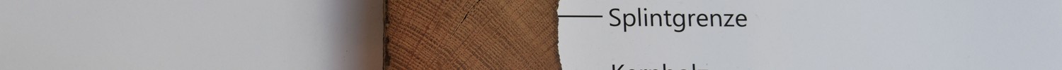 Holz von 1877 mit Markierungen