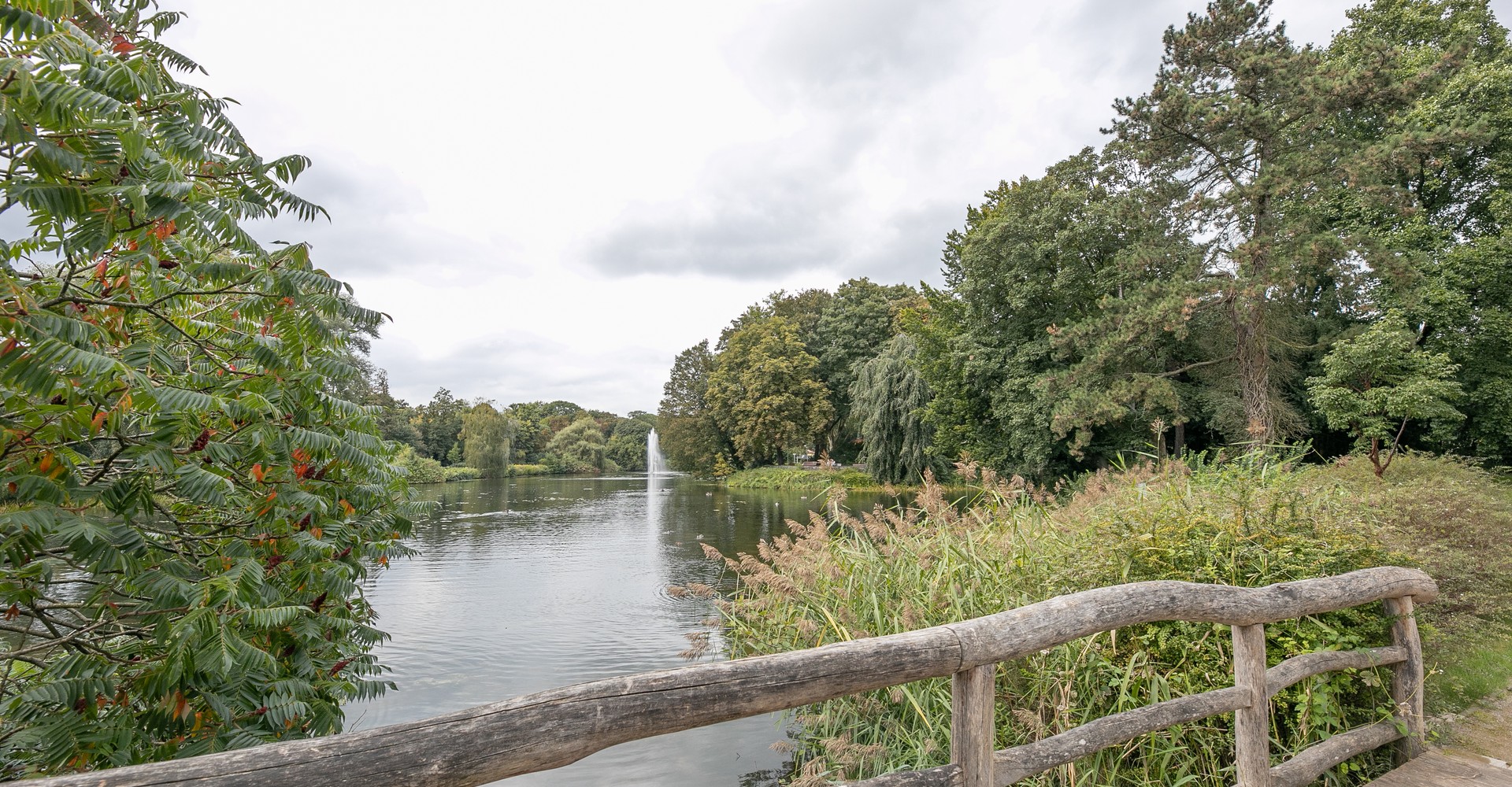 Brücke über den See