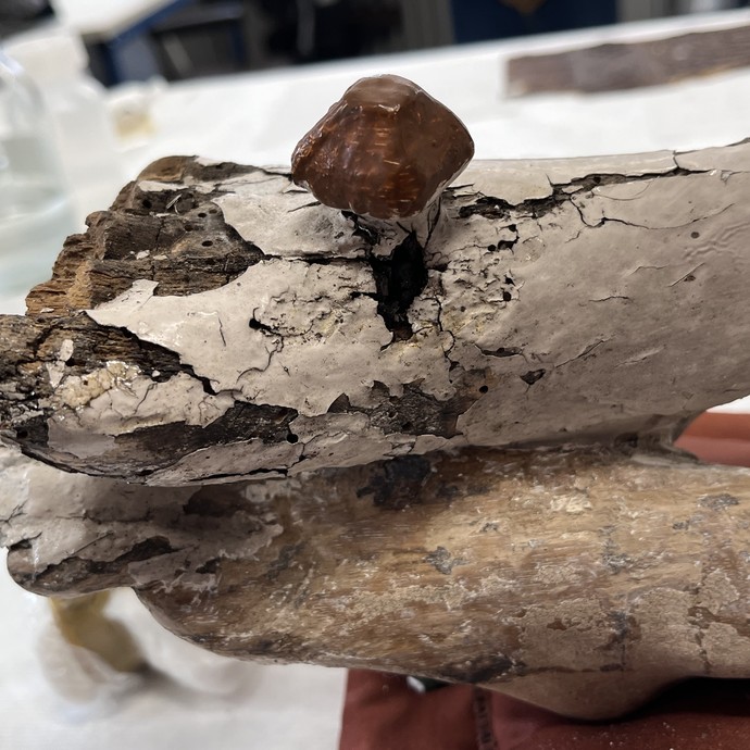 Holzkorpus eines Wegekreuzes in der Restaurierungswerkstatt (vergrößerte Bildansicht wird geöffnet)