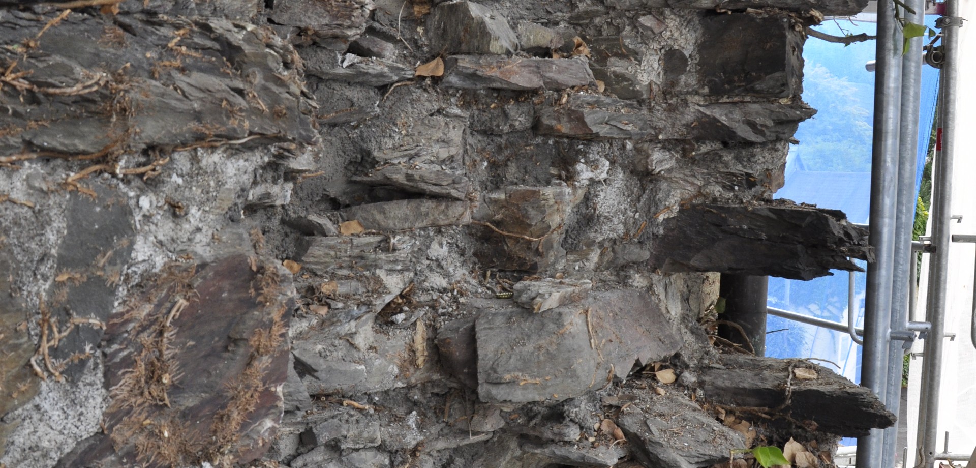 Das Bruchsteinmauerwerk nach Entfernung des Efeus: Foto: LWL/Funke.