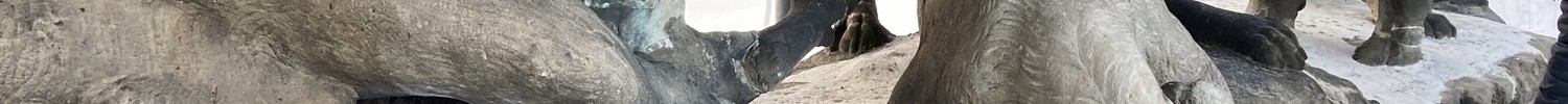 Detail der Jagdszene während der Restaurierung