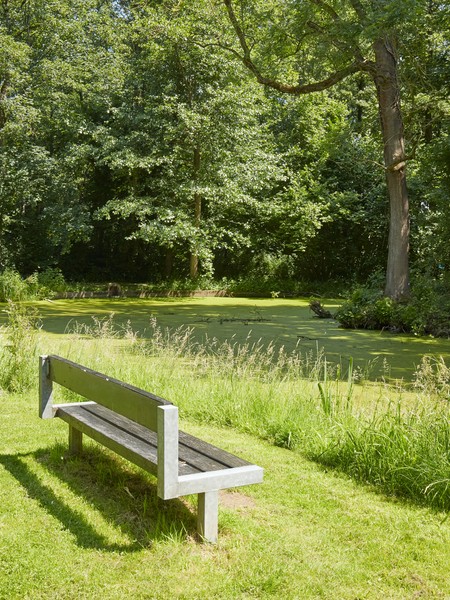 Schlosspark Schieder