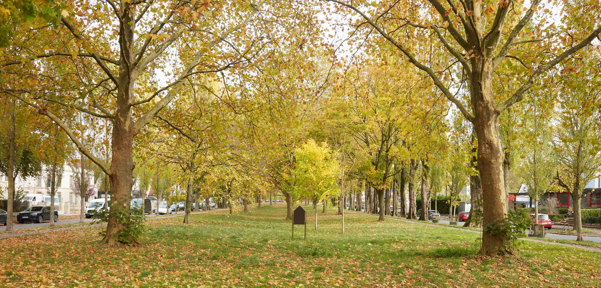 Blick in die großräumige Stadtrat-Cremer-Allee mit Fußgängerpromenade