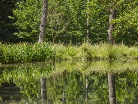 Schlosspark Schieder