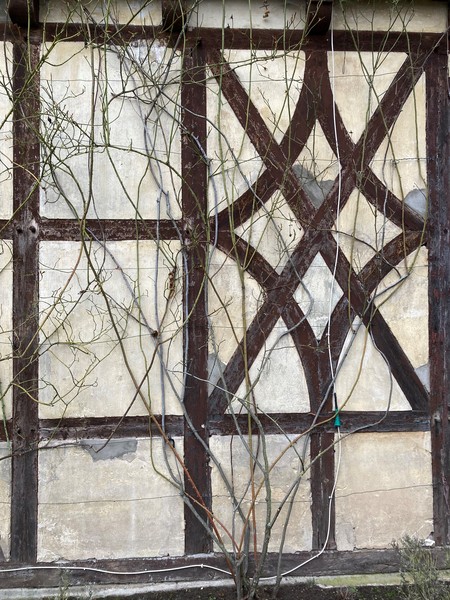Detail Fachwerkraute