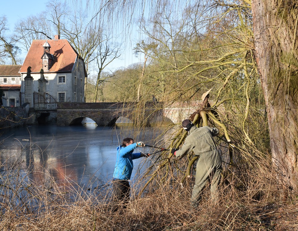 Beim Baumschnitt im Schlosspark Senden
