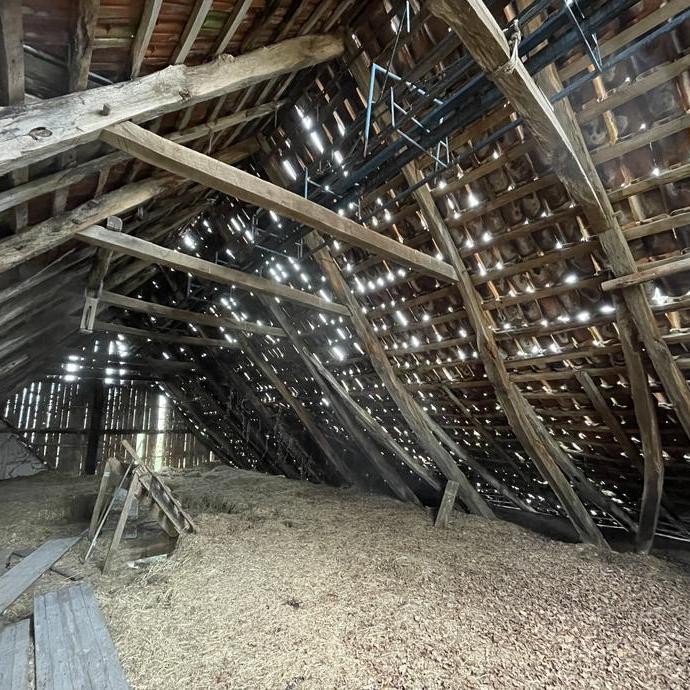 Blick ins Dach Blick ins Dach (vergrößerte Bildansicht wird geöffnet)